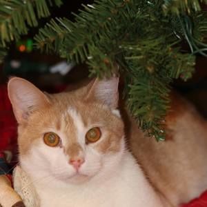 Meet your Posher, Daniela